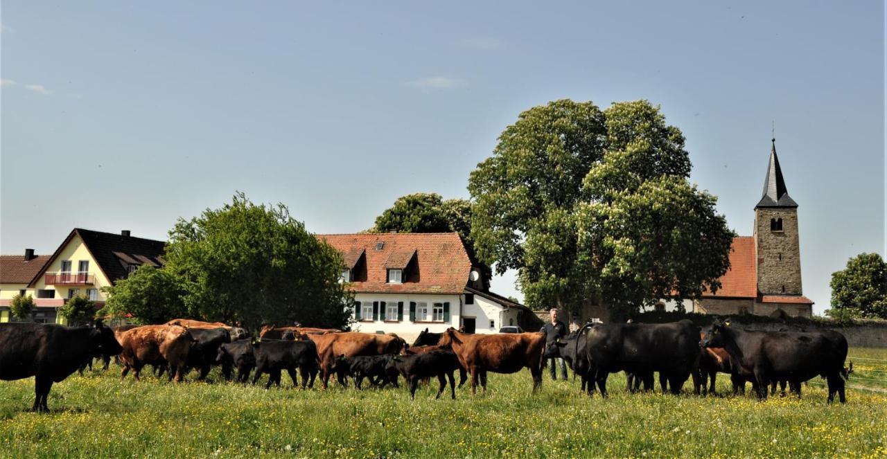 Апартаменты Schaefer'S Ferienhof Michaelsberg Gundelsheim  Экстерьер фото